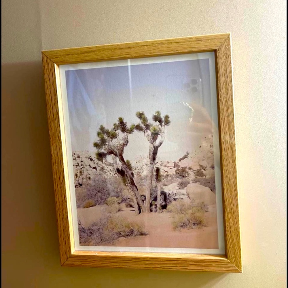 Joshua Tree framed print